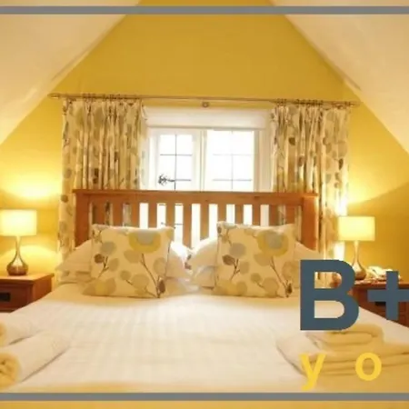 B+B York-3